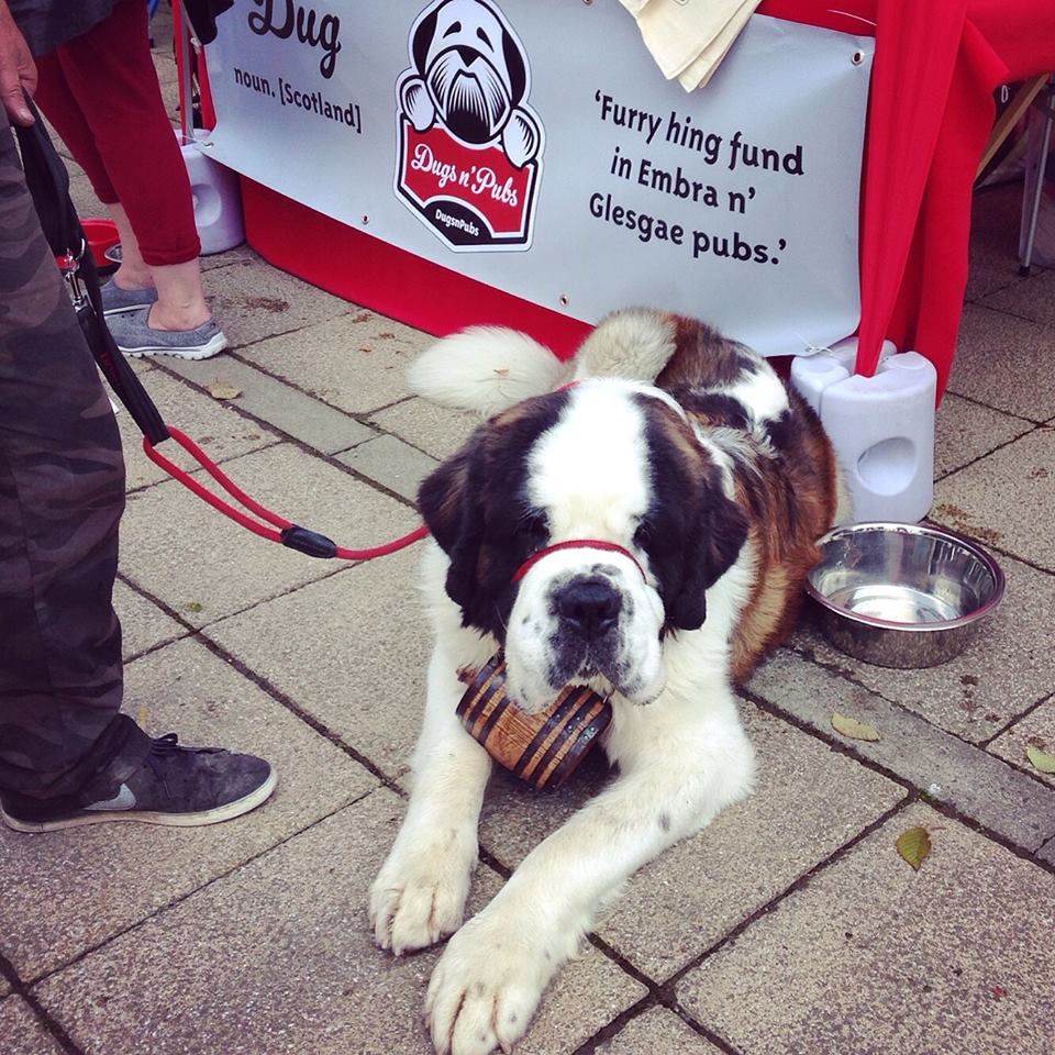 dogs-trust-open-day-dugs-n-pubs-dog-friendly-guide